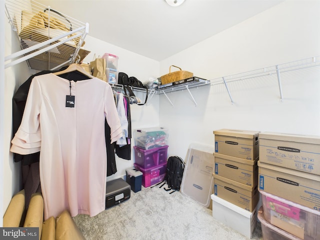 4737 Earl Flanagan Way, Alexandria, VA 22309 - view of spacious closet
