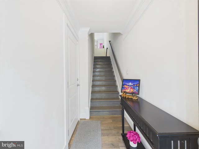 4737 Earl Flanagan Way, Alexandria, VA 22309 - stairway with wood finished floors and crown molding