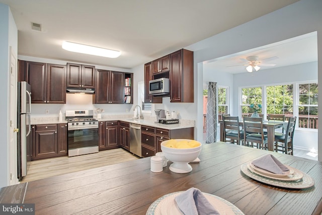 8859 Howland Pl, Bristow, VA 20136 - kitchen with stainless steel appliances, dark brown cabinets, a ceiling fan, light wood-style flooring, and light countertops