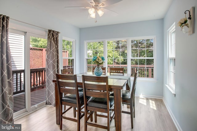 8859 Howland Pl, Bristow, VA 20136 - dining area featuring healthy amount of natural light, light wood-type flooring, and a ceiling fan