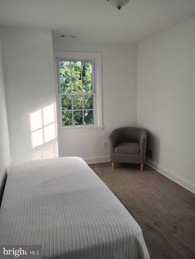 5709 Walther Ave, Baltimore, MD 21206 - bedroom featuring carpet floors and baseboards