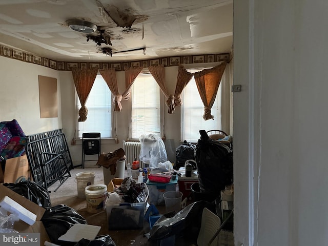 2857 Woodbrook Ave, Baltimore, MD 21217 - misc room with radiator heating unit and carpet