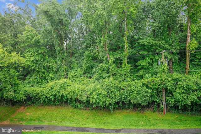 12205 Braxfield Ct Unit 45, Rockville, MD 20852 - view of yard