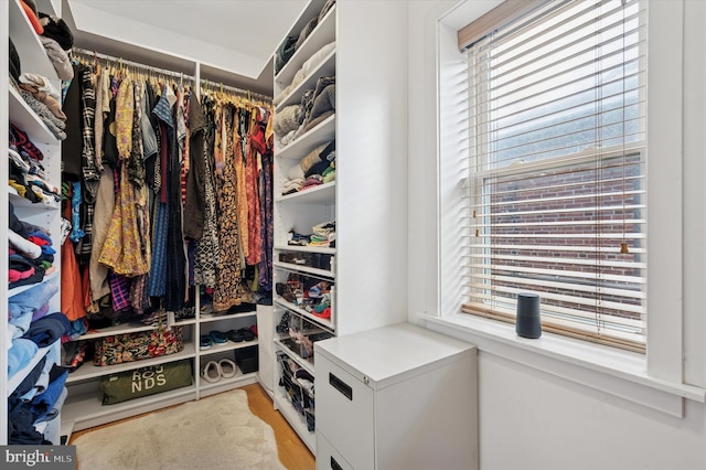 810 S 49th St, Philadelphia, PA 19143 - view of walk in closet
