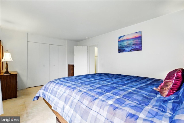 9272 Adelphi Unit 103, Hyattsville, MD 20783 - bedroom with light carpet and a closet