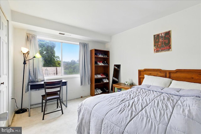 9272 Adelphi Unit 103, Hyattsville, MD 20783 - view of carpeted bedroom