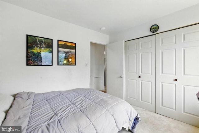 9272 Adelphi Unit 103, Hyattsville, MD 20783 - bedroom with carpet flooring and a closet