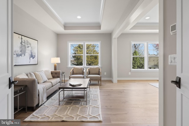 1749 Beulah Rd, Vienna, VA 22182 - living area featuring a tray ceiling, plenty of natural light, light wood finished floors, crown molding, and baseboards