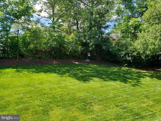 10512 Winged Elm Cir, Manassas, VA 20110 - view of green lawn