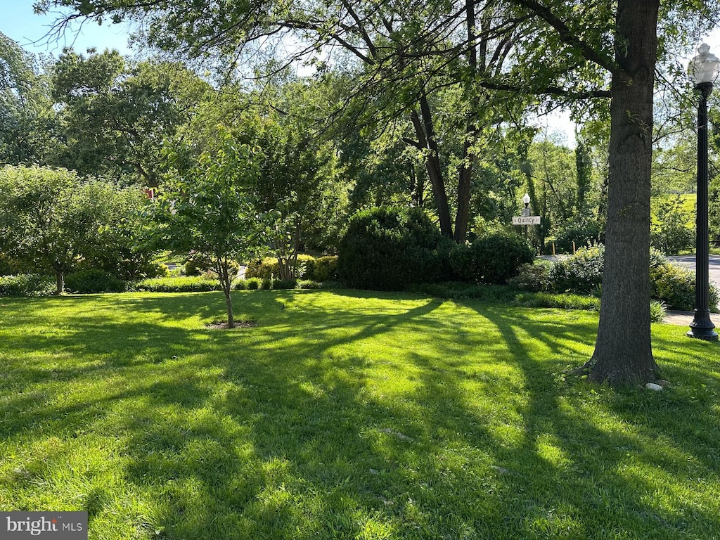 3930 6th St S, Arlington, VA 22204 - view of grassy yard