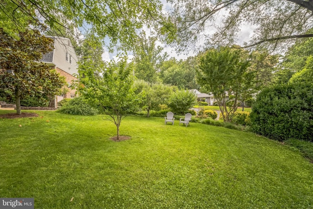 3930 6th St S, Arlington, VA 22204 - view of green lawn