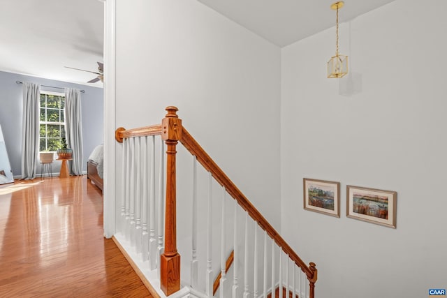 4760 Bluejay Way, Charlottesville, VA 22911 - hall featuring wood finished floors, an upstairs landing, and baseboards