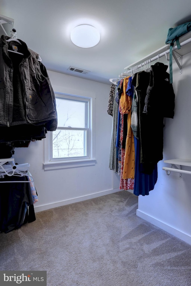 3530 Baker Rd, Westminster, MD 21157 - spacious closet with carpet
