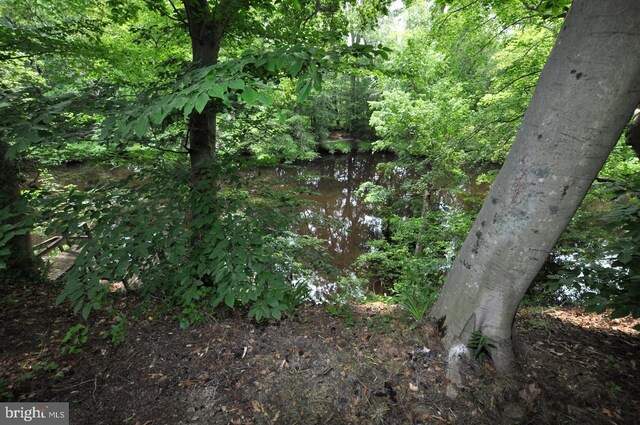 439 Landing St, Lumberton, NJ 08048 - view of tree filled area
