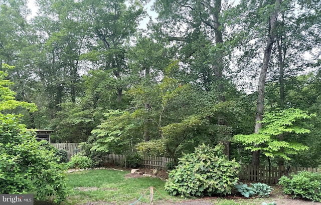 439 Landing St, Lumberton, NJ 08048 - view of yard
