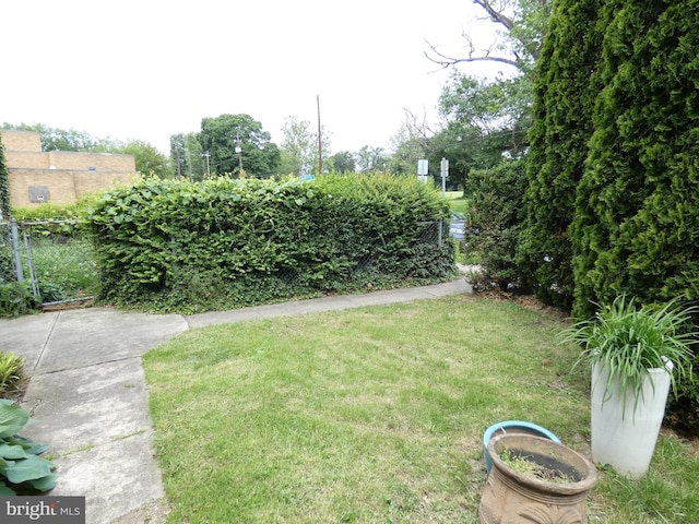 503 Division St, Harrisburg, PA 17110 - view of yard