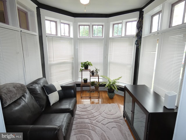 503 Division St, Harrisburg, PA 17110 - sunroom / solarium featuring wood finished floors