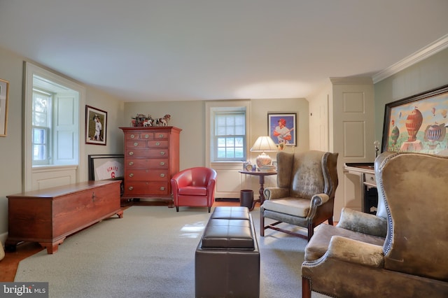 140 Evans Hill Rd, Reading, PA 19608 - living area featuring carpet