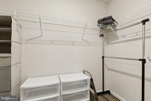 298 Forest Edge Ave, La Plata, MD 20646 - view of spacious closet
