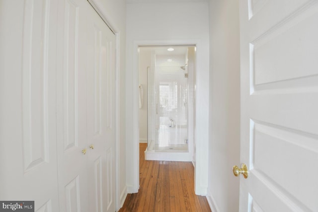 908 Westminster St NW, Washington, DC 20001 - hallway featuring dark wood-style floors and baseboards