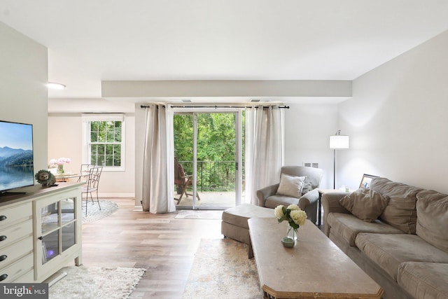3814 Lyndhurst Dr Unit 203, Fairfax, VA 22031 - living room with light wood-style flooring and baseboards