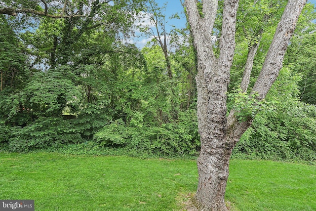 3814 Lyndhurst Dr Unit 203, Fairfax, VA 22031 - view of grassy yard with a view of trees