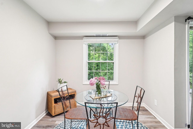 3814 Lyndhurst Dr Unit 203, Fairfax, VA 22031 - dining room with light wood-style flooring, plenty of natural light, and baseboards