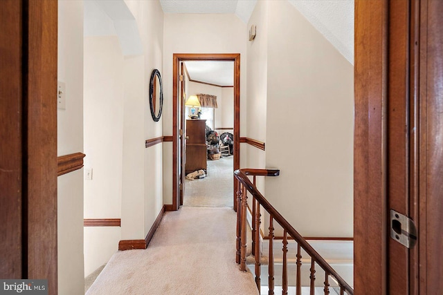 8807 Woodland Ferry Rd, Laurel, DE 19956 - corridor with light carpet, an upstairs landing, and a textured ceiling