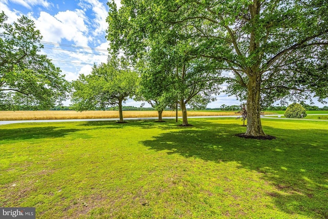 8807 Woodland Ferry Rd, Laurel, DE 19956 - view of green lawn featuring a water view