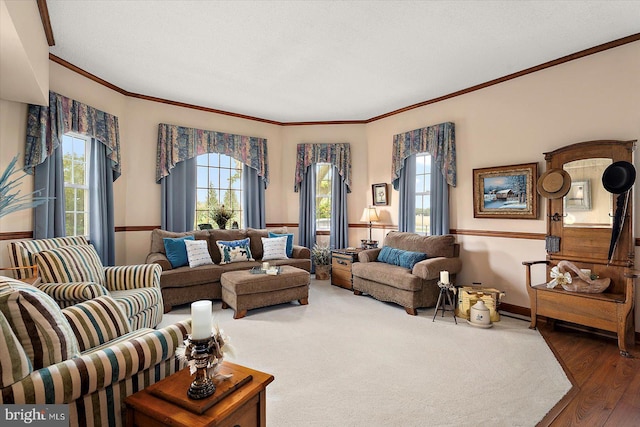 8807 Woodland Ferry Rd, Laurel, DE 19956 - living area featuring ornamental molding, wood finished floors, and baseboards