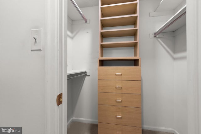 5802 Nicholson Ln Unit 2-407, Rockville, MD 20852 - view of walk in closet