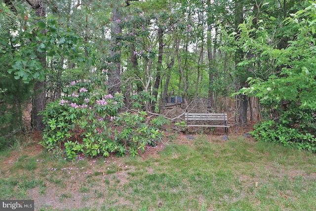 2028 Brookdale Dr, Forked River, NJ 08731 - view of yard