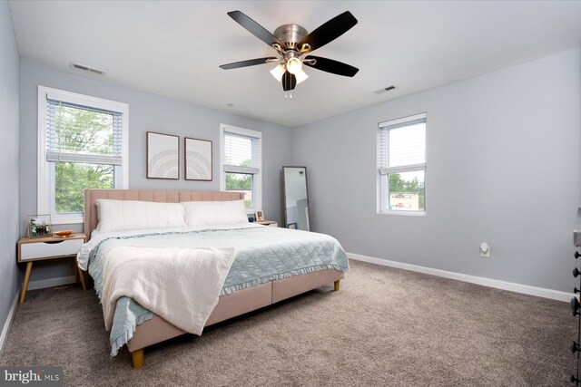 1005 Madison Ct, Annapolis, MD 21403 - carpeted bedroom with multiple windows, baseboards, and ceiling fan