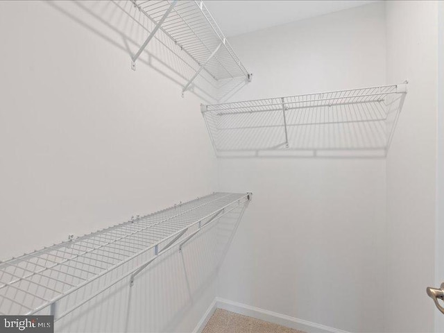 107 Lookout Way, Fredericksburg, VA 22405 - view of spacious closet