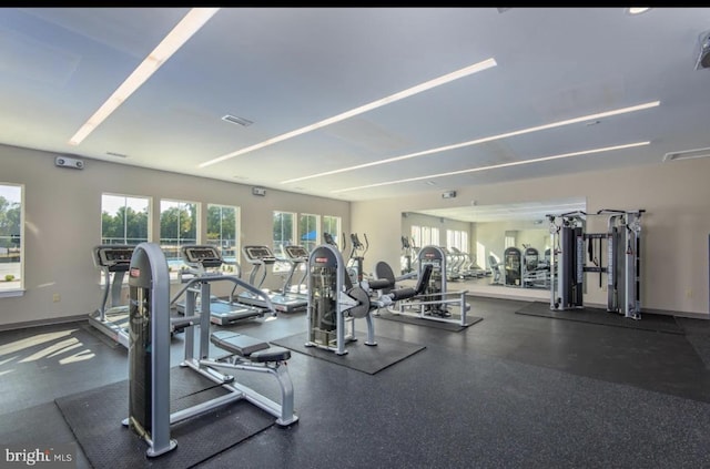 107 Lookout Way, Fredericksburg, VA 22405 - exercise room featuring plenty of natural light and baseboards