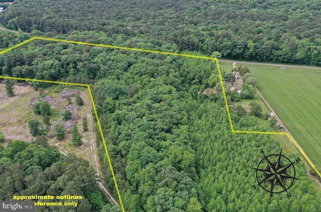 13.17ACRES Colona Rd, Pocomoke City, MD 21851