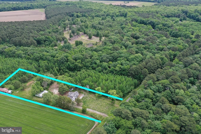 13.17ACRES Colona Rd, Pocomoke City, MD 21851