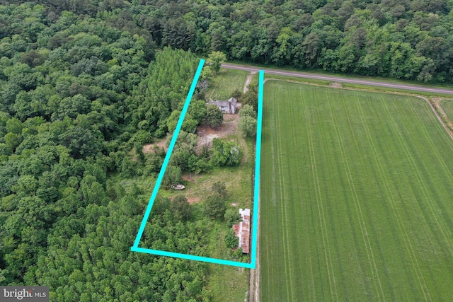 13.17ACRES Colona Rd, Pocomoke City, MD 21851