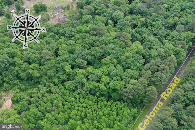 13.17ACRES Colona Rd, Pocomoke City, MD 21851
