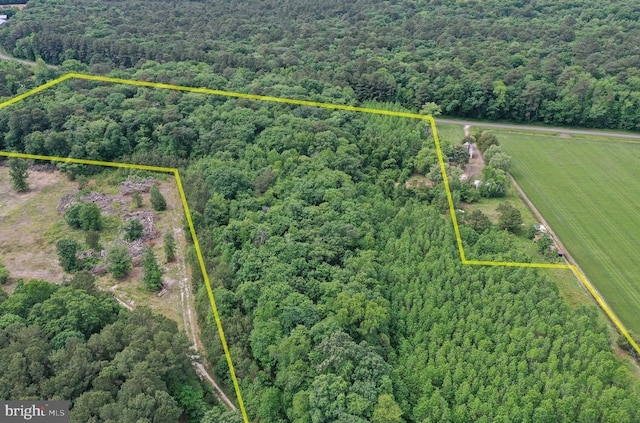 13.17ACRES Colona Rd, Pocomoke City, MD 21851