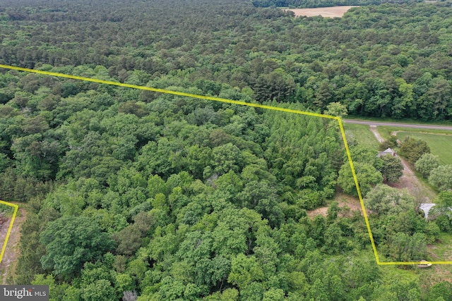13.17ACRES Colona Rd, Pocomoke City, MD 21851