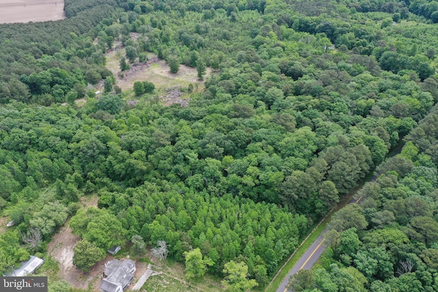 13.17ACRES Colona Rd, Pocomoke City, MD 21851