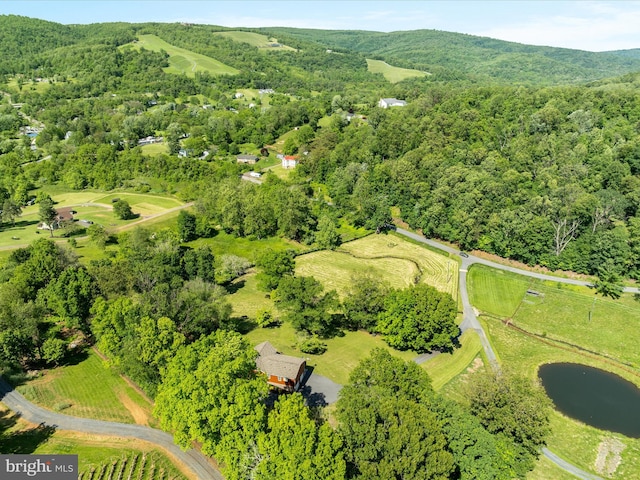 1439 Fiery Run Rd, Linden, VA 22642 - aerial overview of property's location featuring a heavily wooded area and a nearby body of water