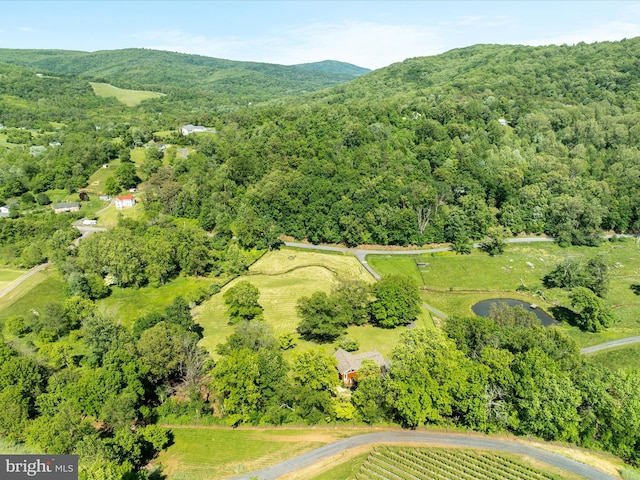 1439 Fiery Run Rd, Linden, VA 22642 - aerial view of property's location with a forest and a mountainous background