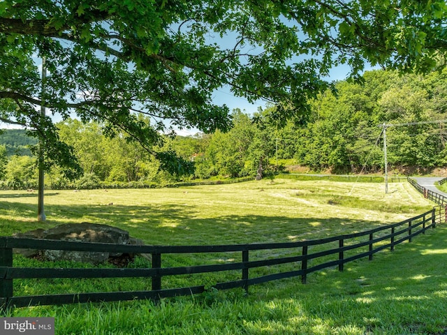 1439 Fiery Run Rd, Linden, VA 22642 - view of yard featuring a forest view