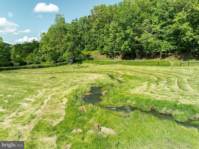 1439 Fiery Run Rd, Linden, VA 22642 - view of yard with a wooded view