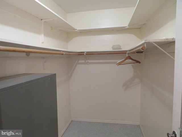 15 Meadowwood Ct, Columbus, NJ 08022 - spacious closet featuring carpet floors