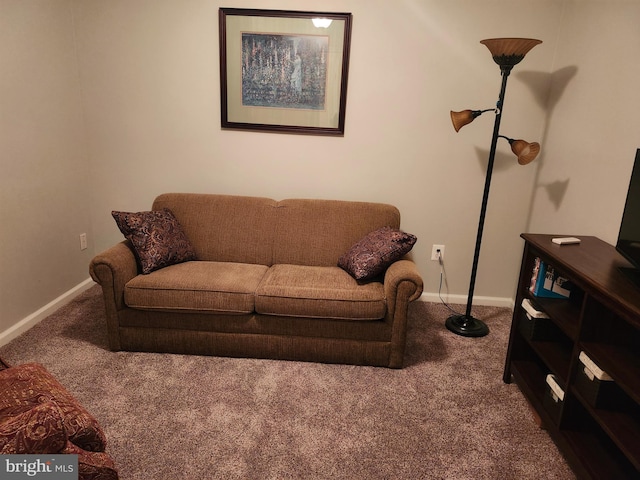 45 Freedom Ln, Bensalem, PA 19020 - carpeted living area with baseboards