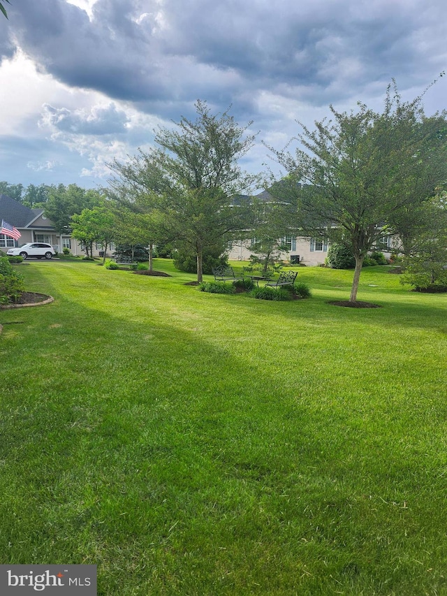 45 Freedom Ln, Bensalem, PA 19020 - view of green lawn