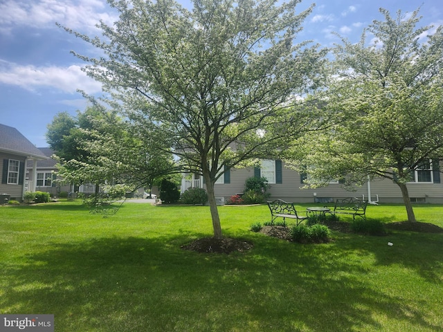 45 Freedom Ln, Bensalem, PA 19020 - view of grassy yard